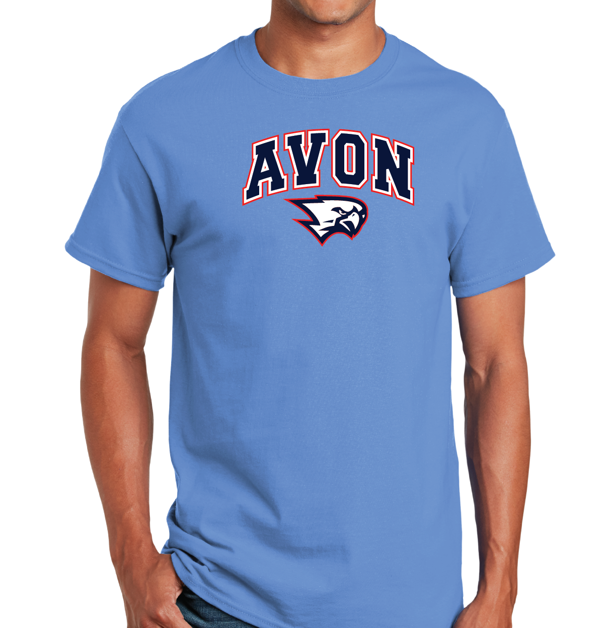 T-Shirt: Avon Arched Falcon