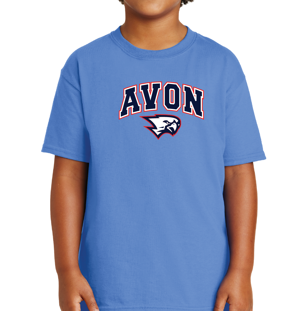 T-Shirt: Avon Arched Falcon