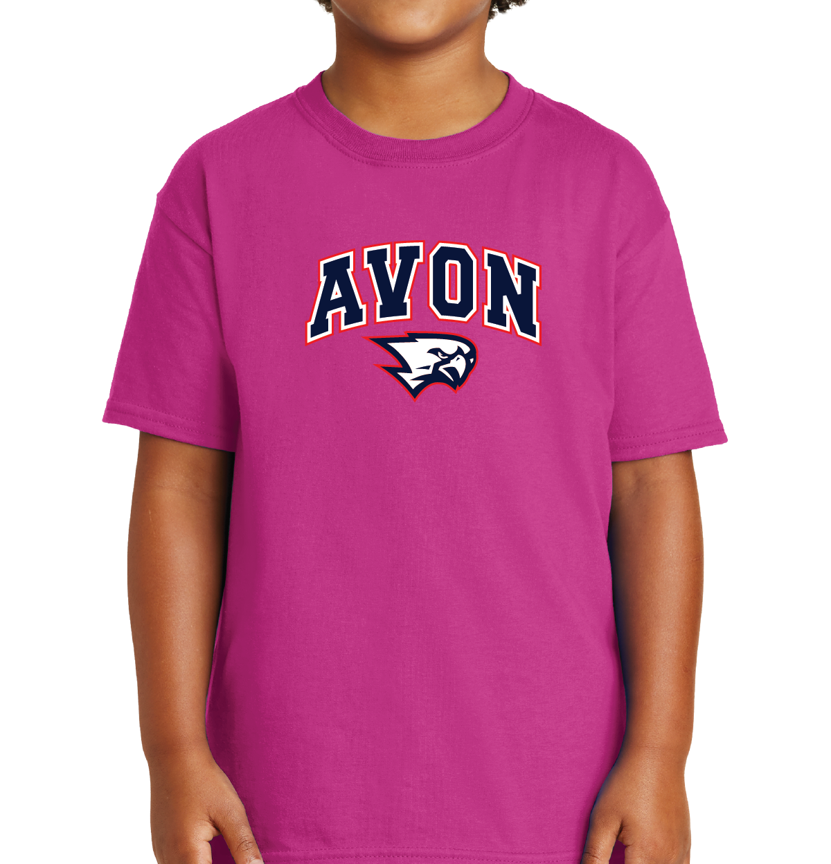 T-Shirt: Avon Arched Falcon