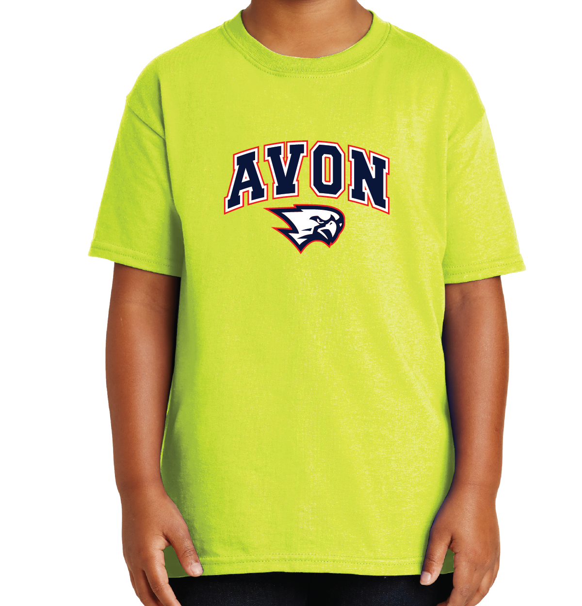 T-Shirt: Avon Arched Falcon