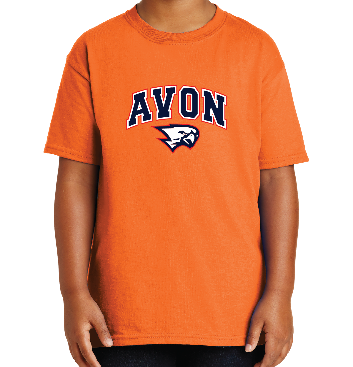 T-Shirt: Avon Arched Falcon