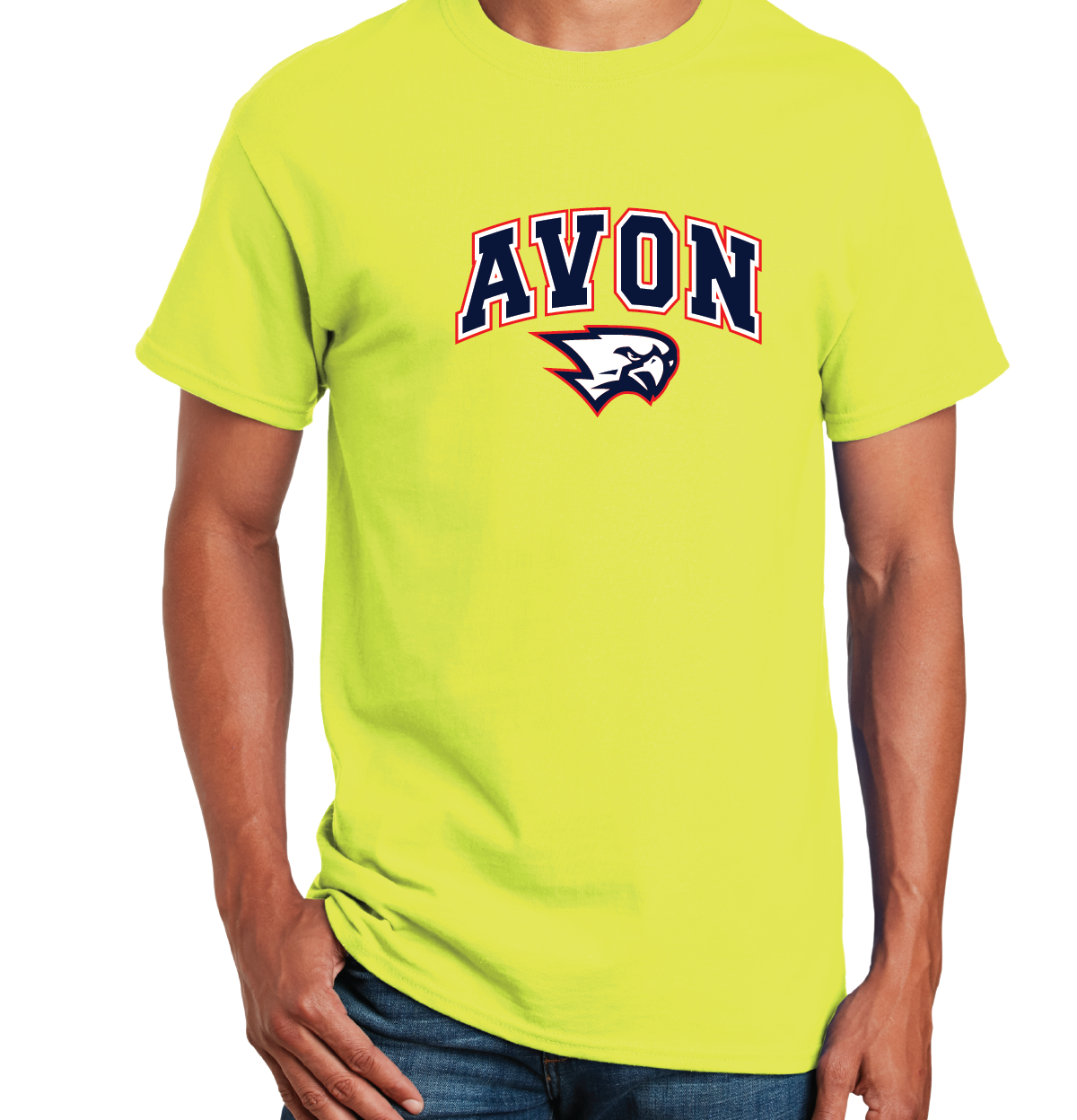 T-Shirt: Avon Arched Falcon
