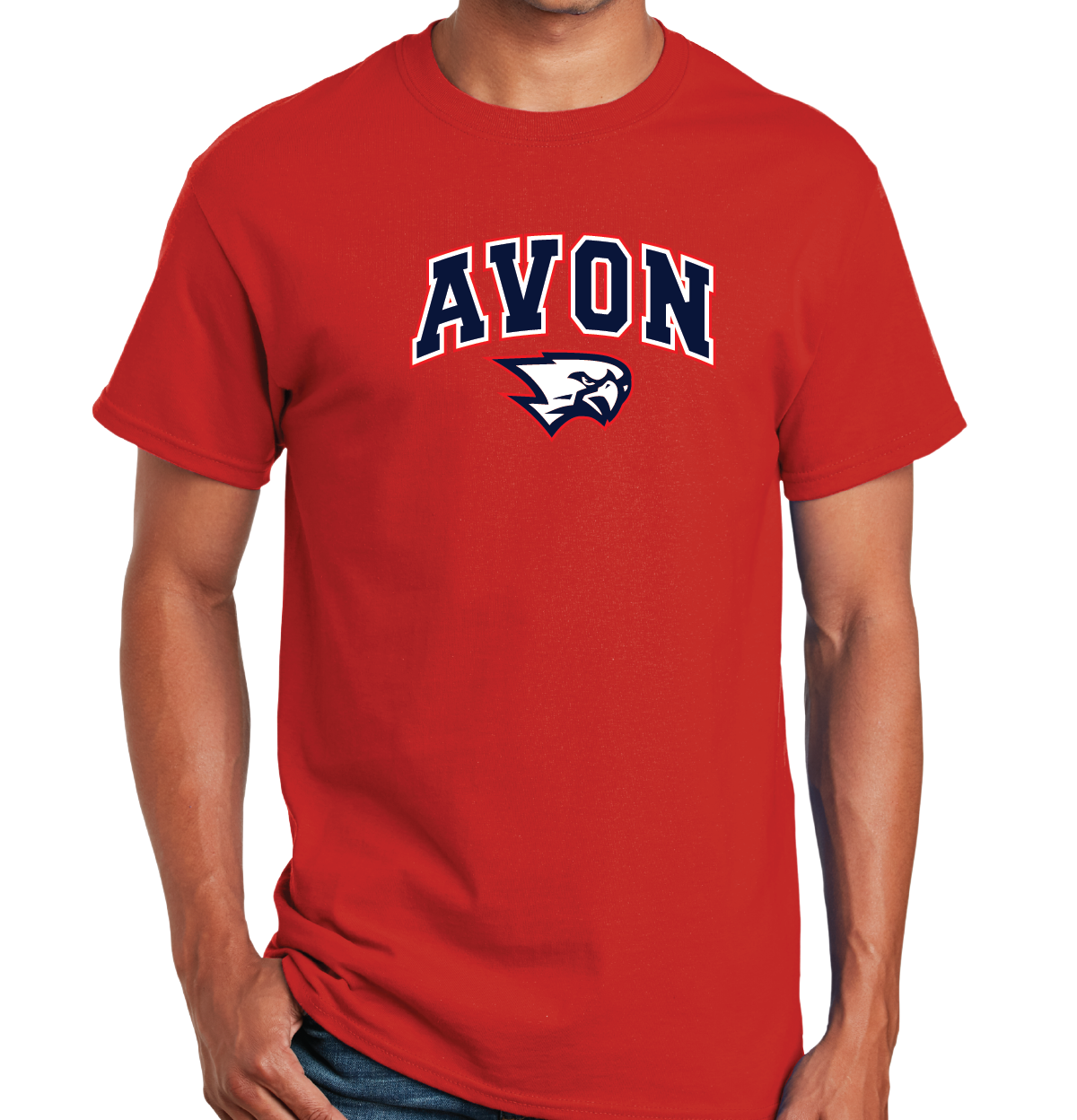 T-Shirt: Avon Arched Falcon