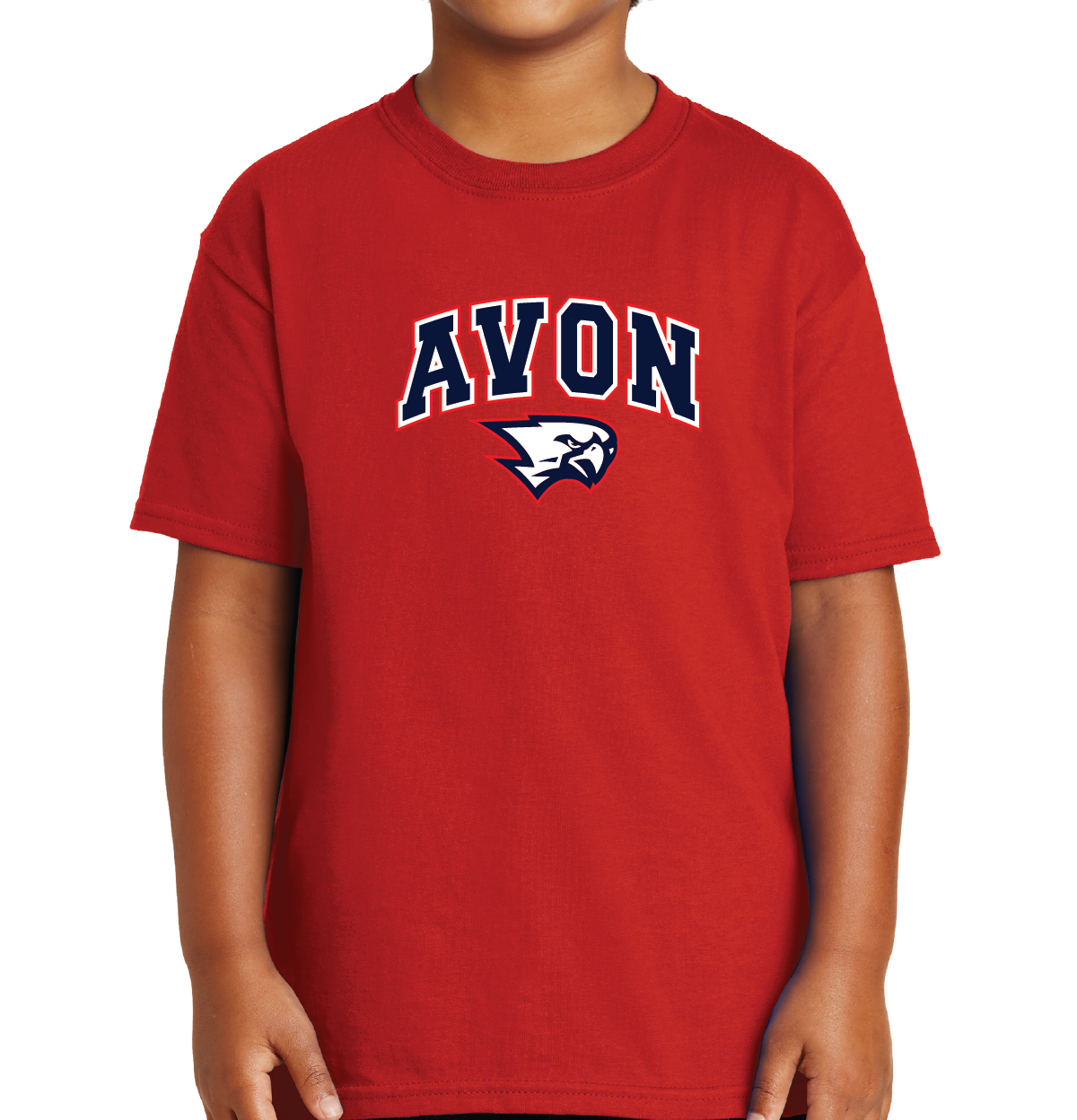 T-Shirt: Avon Arched Falcon