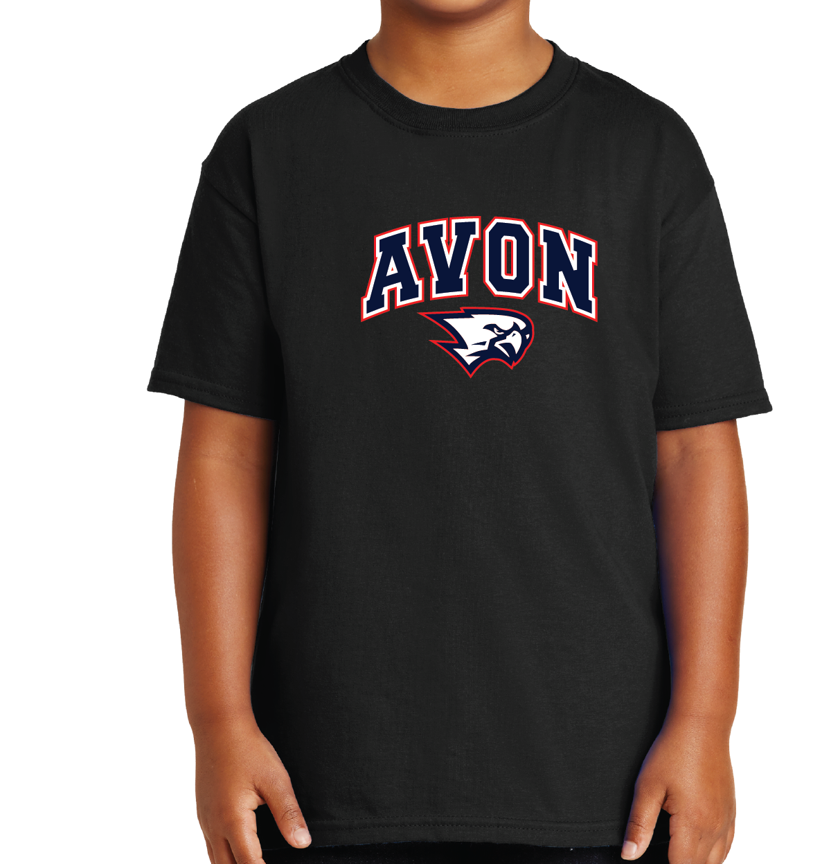 T-Shirt: Avon Arched Falcon