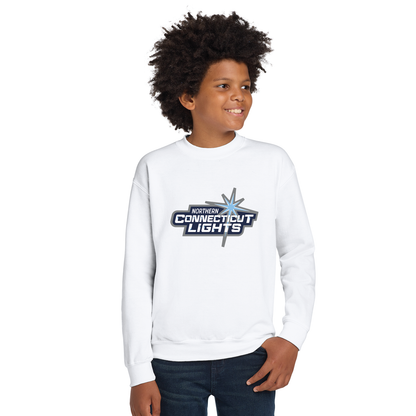 Northern Lights Hockey: Youth & Adult Crewneck Sweatshirt 18000