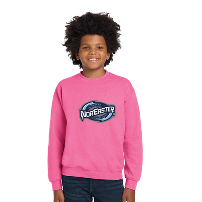 Noreaster Hockey: Youth & Adult Crewneck Sweatshirt 18000